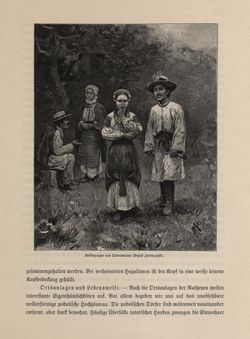 Bild der Seite - 391 - in Die österreichisch-ungarische Monarchie in Wort und Bild - Galizien, Band 19