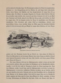 Image of the Page - 411 - in Die österreichisch-ungarische Monarchie in Wort und Bild - Galizien, Volume 19