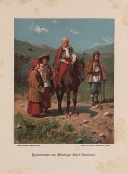 Image of the Page - (000437) - in Die österreichisch-ungarische Monarchie in Wort und Bild - Galizien, Volume 19