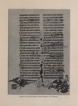 Bild der Seite - 501 - in Die österreichisch-ungarische Monarchie in Wort und Bild - Galizien, Band 19