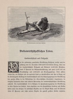 Image of the Page - 797 - in Die österreichisch-ungarische Monarchie in Wort und Bild - Galizien, Volume 19