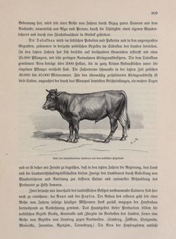 Bild der Seite - 809 - in Die österreichisch-ungarische Monarchie in Wort und Bild - Galizien, Band 19
