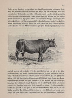 Image of the Page - 811 - in Die österreichisch-ungarische Monarchie in Wort und Bild - Galizien, Volume 19