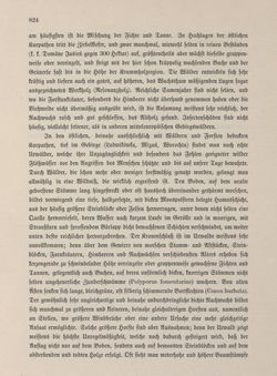 Bild der Seite - 824 - in Die österreichisch-ungarische Monarchie in Wort und Bild - Galizien, Band 19