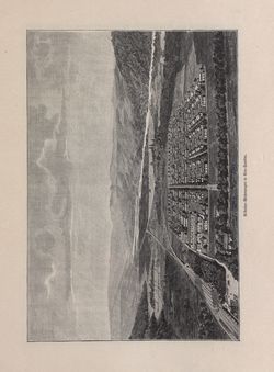 Image of the Page - 885 - in Die österreichisch-ungarische Monarchie in Wort und Bild - Galizien, Volume 19