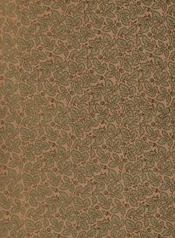 Bild der Seite - 894 - in Die österreichisch-ungarische Monarchie in Wort und Bild - Galizien, Band 19