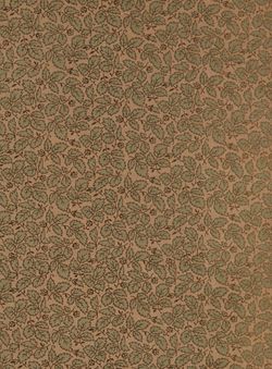 Image of the Page - Vorsatzblatt hinten - in Die österreichisch-ungarische Monarchie in Wort und Bild - Galizien, Volume 19