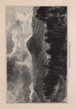 Image of the Page - 39 - in Die österreichisch-ungarische Monarchie in Wort und Bild - Bukowina, Volume 20