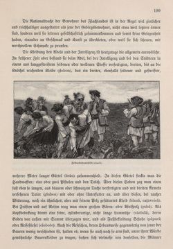 Bild der Seite - 199 - in Die österreichisch-ungarische Monarchie in Wort und Bild - Bukowina, Band 20