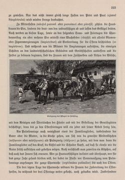 Bild der Seite - 223 - in Die österreichisch-ungarische Monarchie in Wort und Bild - Bukowina, Band 20