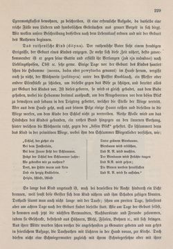 Image of the Page - 229 - in Die österreichisch-ungarische Monarchie in Wort und Bild - Bukowina, Volume 20