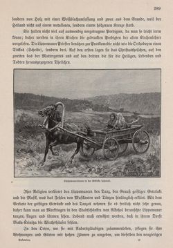 Bild der Seite - 289 - in Die österreichisch-ungarische Monarchie in Wort und Bild - Bukowina, Band 20