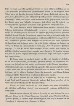 Bild der Seite - 329 - in Die österreichisch-ungarische Monarchie in Wort und Bild - Bukowina, Band 20