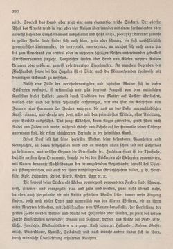 Image of the Page - 360 - in Die österreichisch-ungarische Monarchie in Wort und Bild - Bukowina, Volume 20