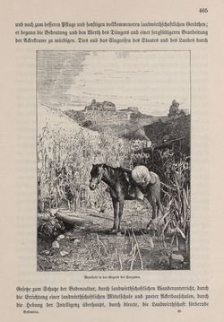 Bild der Seite - 465 - in Die österreichisch-ungarische Monarchie in Wort und Bild - Bukowina, Band 20