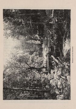 Bild der Seite - 487 - in Die österreichisch-ungarische Monarchie in Wort und Bild - Bukowina, Band 20