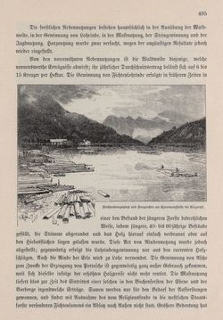 Bild der Seite - 495 - in Die österreichisch-ungarische Monarchie in Wort und Bild - Bukowina, Band 20