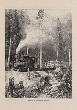 Image of the Page - 499 - in Die österreichisch-ungarische Monarchie in Wort und Bild - Bukowina, Volume 20