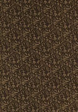 Bild der Seite - Vorsatzblatt hinten - in Die österreichisch-ungarische Monarchie in Wort und Bild - Bukowina, Band 20