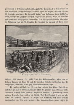 Bild der Seite - 91 - in Die österreichisch-ungarische Monarchie in Wort und Bild - Ungarn (6), Band 21