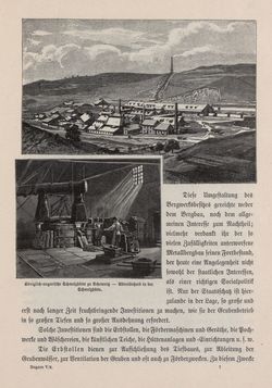 Bild der Seite - 99 - in Die österreichisch-ungarische Monarchie in Wort und Bild - Ungarn (6), Band 21