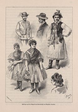 Image of the Page - 185 - in Die österreichisch-ungarische Monarchie in Wort und Bild - Ungarn (6), Volume 21