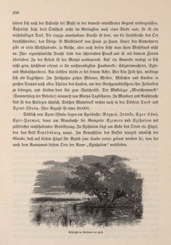 Image of the Page - 238 - in Die österreichisch-ungarische Monarchie in Wort und Bild - Ungarn (6), Volume 21