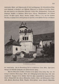 Image of the Page - 313 - in Die österreichisch-ungarische Monarchie in Wort und Bild - Ungarn (6), Volume 21