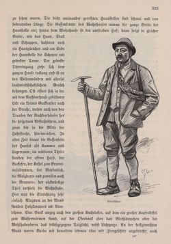 Image of the Page - 323 - in Die österreichisch-ungarische Monarchie in Wort und Bild - Ungarn (6), Volume 21