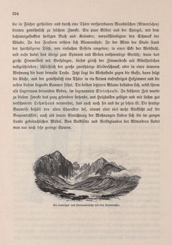 Bild der Seite - 324 - in Die österreichisch-ungarische Monarchie in Wort und Bild - Ungarn (6), Band 21