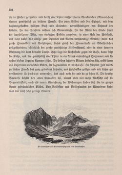 Image of the Page - 324 - in Die österreichisch-ungarische Monarchie in Wort und Bild - Ungarn (6), Volume 21