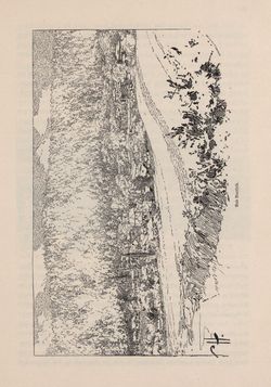 Bild der Seite - 349 - in Die österreichisch-ungarische Monarchie in Wort und Bild - Ungarn (6), Band 21