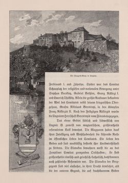 Bild der Seite - 389 - in Die österreichisch-ungarische Monarchie in Wort und Bild - Ungarn (6), Band 21