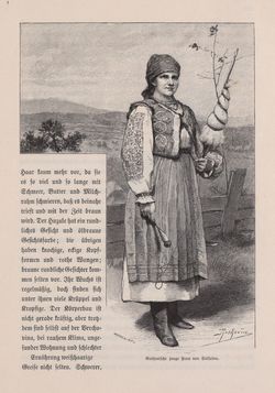 Image of the Page - 413 - in Die österreichisch-ungarische Monarchie in Wort und Bild - Ungarn (6), Volume 21