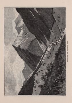 Image of the Page - 443 - in Die österreichisch-ungarische Monarchie in Wort und Bild - Ungarn (6), Volume 21