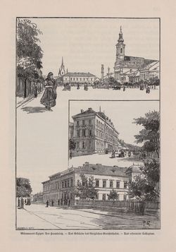 Image of the Page - 445 - in Die österreichisch-ungarische Monarchie in Wort und Bild - Ungarn (6), Volume 21