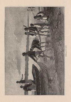 Image of the Page - 469 - in Die österreichisch-ungarische Monarchie in Wort und Bild - Ungarn (6), Volume 21