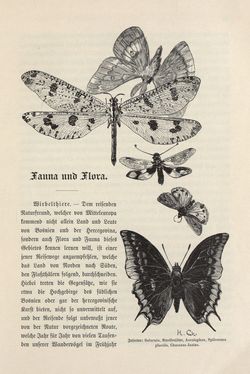 Image of the Page - 21 - in Die österreichisch-ungarische Monarchie in Wort und Bild - Bosnien und Herzegowina, Volume 22