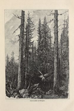 Image of the Page - 27 - in Die österreichisch-ungarische Monarchie in Wort und Bild - Bosnien und Herzegowina, Volume 22
