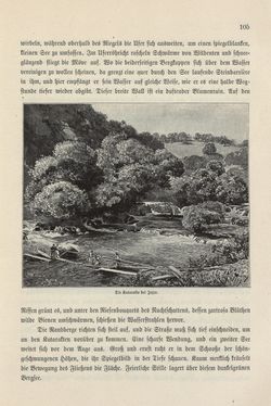 Image of the Page - 105 - in Die österreichisch-ungarische Monarchie in Wort und Bild - Bosnien und Herzegowina, Volume 22