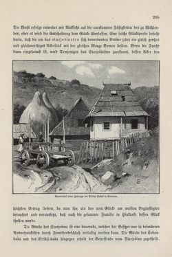 Image of the Page - 295 - in Die österreichisch-ungarische Monarchie in Wort und Bild - Bosnien und Herzegowina, Volume 22
