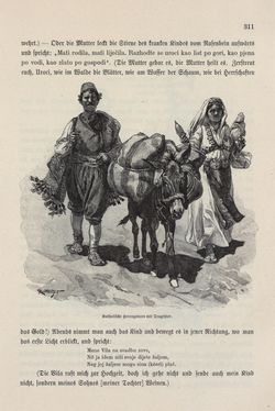 Bild der Seite - 311 - in Die österreichisch-ungarische Monarchie in Wort und Bild - Bosnien und Herzegowina, Band 22
