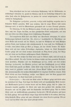 Image of the Page - 338 - in Die österreichisch-ungarische Monarchie in Wort und Bild - Bosnien und Herzegowina, Volume 22