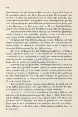 Bild der Seite - 348 - in Die österreichisch-ungarische Monarchie in Wort und Bild - Bosnien und Herzegowina, Band 22