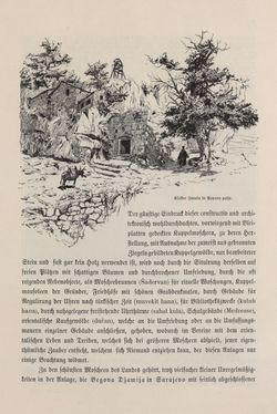 Image of the Page - 415 - in Die österreichisch-ungarische Monarchie in Wort und Bild - Bosnien und Herzegowina, Volume 22