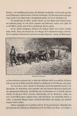 Image of the Page - 439 - in Die österreichisch-ungarische Monarchie in Wort und Bild - Bosnien und Herzegowina, Volume 22
