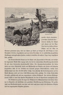 Bild der Seite - 443 - in Die österreichisch-ungarische Monarchie in Wort und Bild - Bosnien und Herzegowina, Band 22