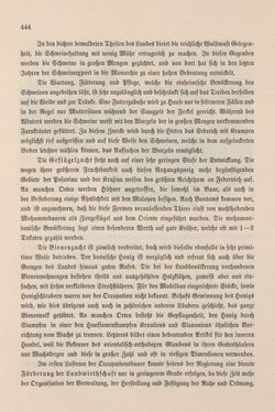 Bild der Seite - 444 - in Die österreichisch-ungarische Monarchie in Wort und Bild - Bosnien und Herzegowina, Band 22