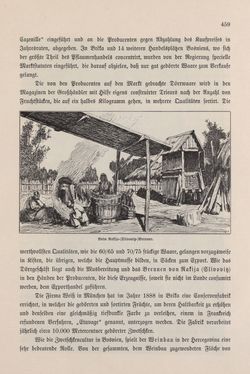 Image of the Page - 459 - in Die österreichisch-ungarische Monarchie in Wort und Bild - Bosnien und Herzegowina, Volume 22