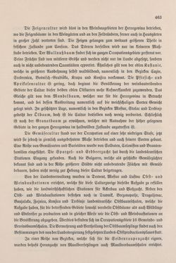 Bild der Seite - 463 - in Die österreichisch-ungarische Monarchie in Wort und Bild - Bosnien und Herzegowina, Band 22